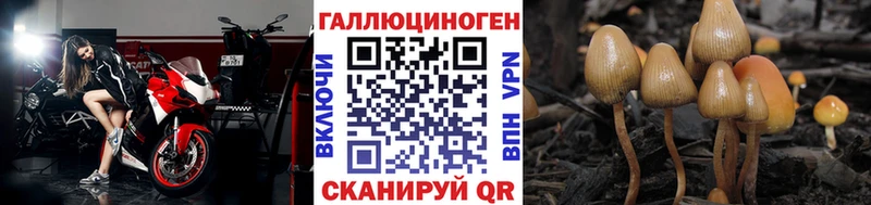 Купить  Верхняя Салда  Галлюциногенные грибы ЛСД 